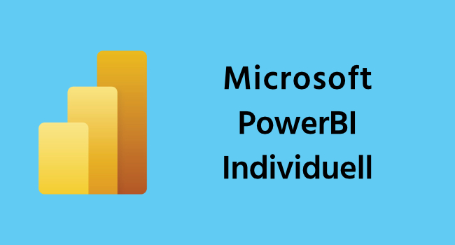 Microsoft PowerBI Individuell